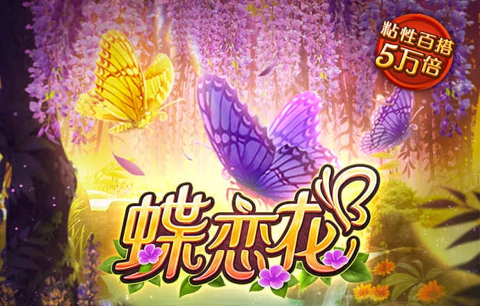 金贝体育平台app