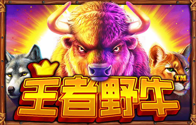 bsports必一体育网页版登录