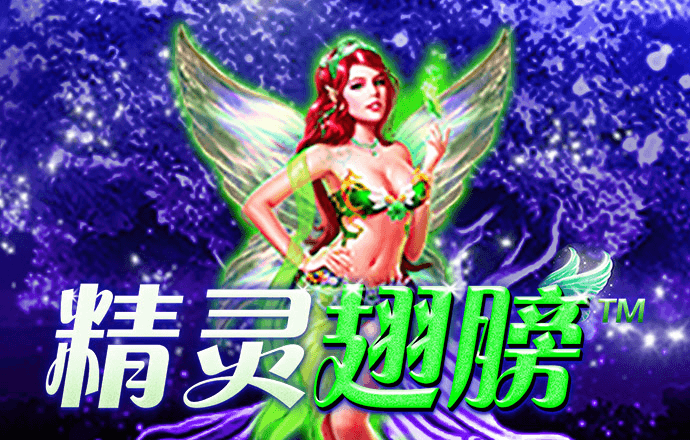 2024澳门精准正版资料