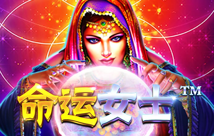 钱多多永久免费资料