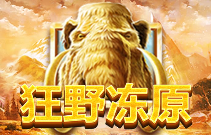 波胆网址多少
